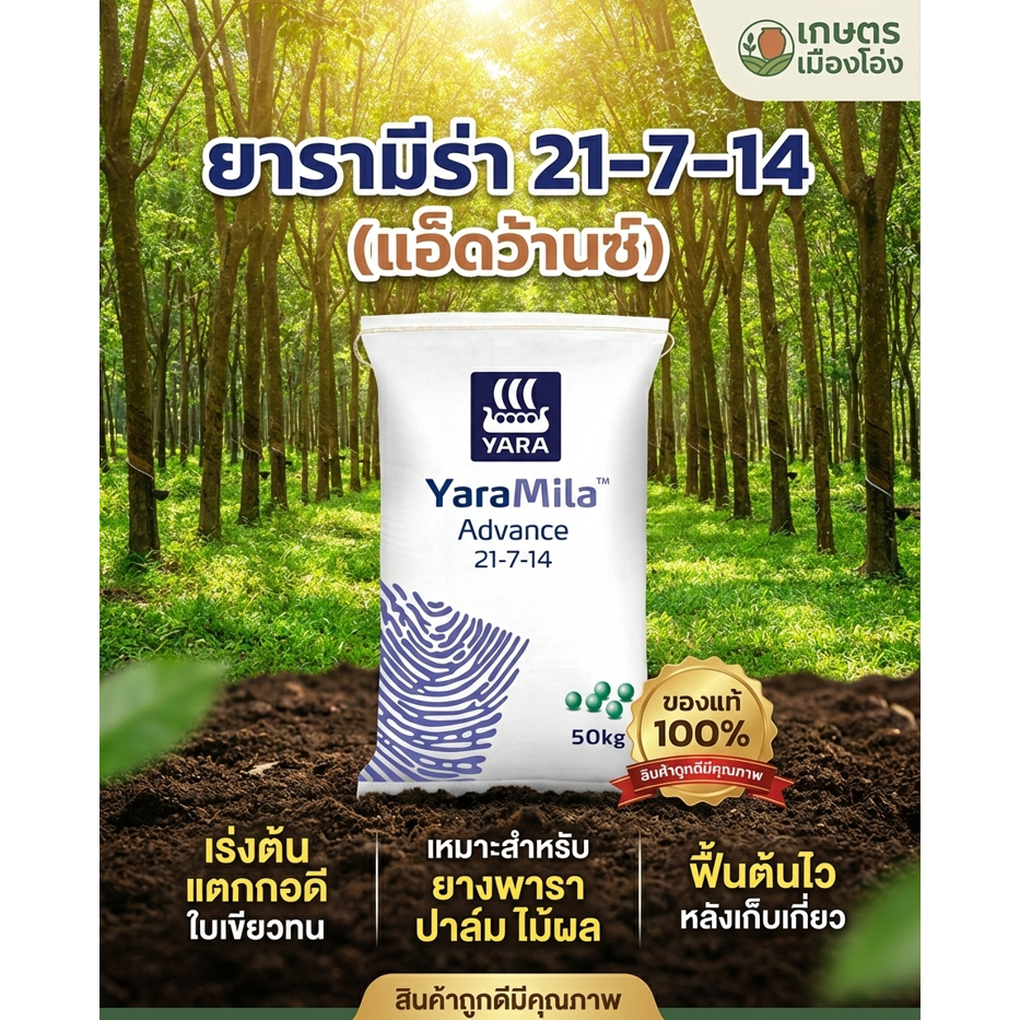 21-7-14 ยาร่า ยกกระสอบ50กก