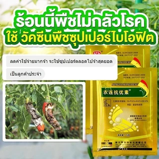 【ซื้อ 3 แถม 3】 กำจัดโรคเน่าในพริก, กำจัดโรคพริก, ไตรโดเดอร์มา, สารป้องกันเชื้อรา, กำจัดโรคพืช, พริก, กุ้ง, โรคแอน
