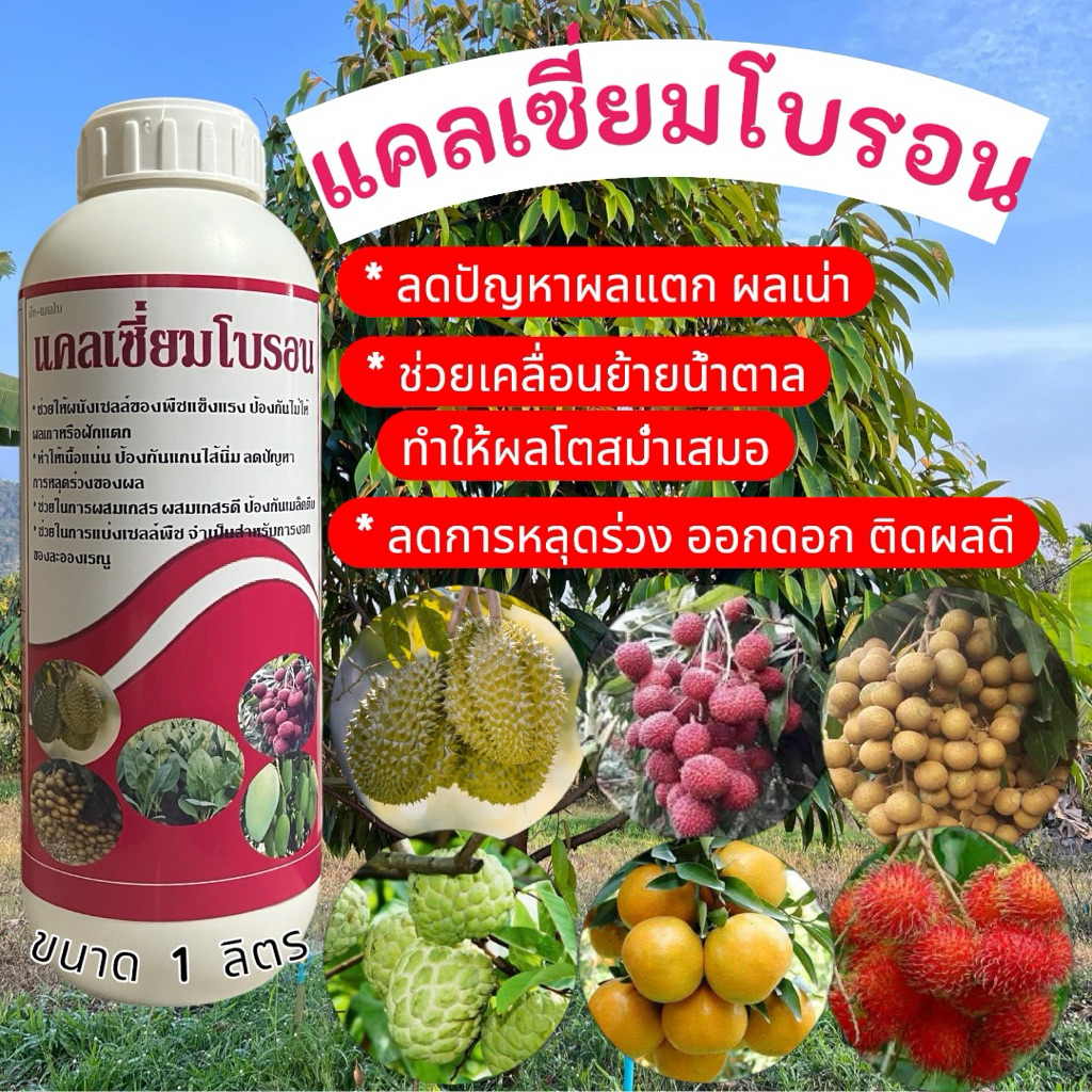 🍀🍁แคลเซี่ยมโบรอน🌿🌵ทำให้ขั้วเหนียว ติดผลดี   ช่วยเคลื่อนย้ายน้ำตาลเข้าดอกและผล ทำให้ผนังเซลล์แข็งแรง ลดอาการผลแตกผลเน่า