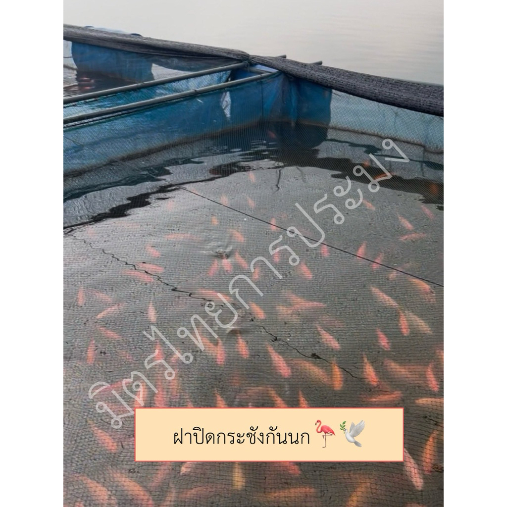 ฝาปิดกระชังอวนกันนกเคลือบ UV