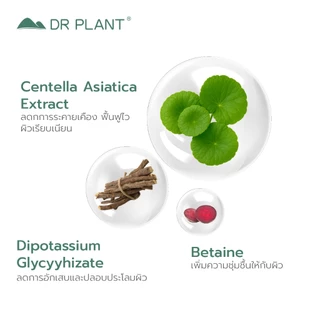[Box] Dr.Plant Centella Moist-Soothing Face Mask มาส์กผิวสกัดใบบัวบก ปลอบประโลมผิว กู้ผิวเสีย