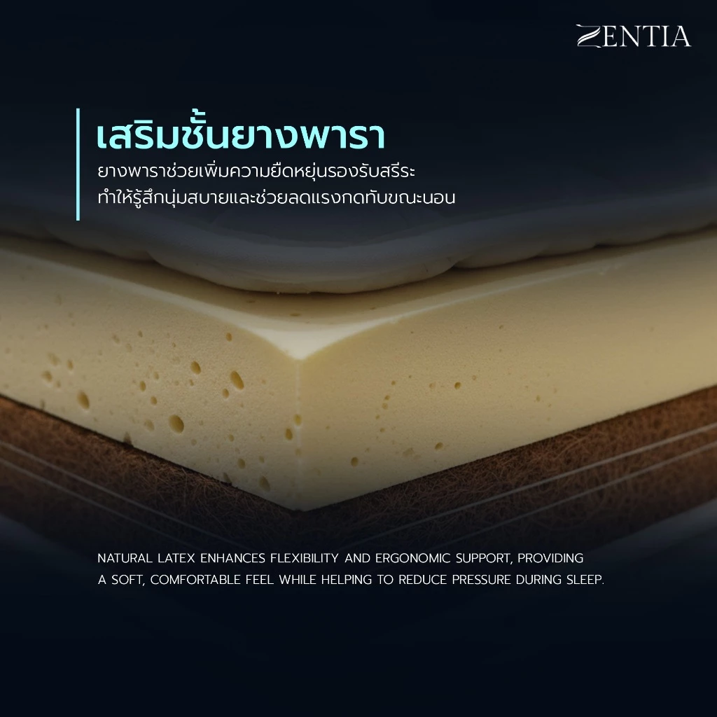ZENTIA ผ้าปูที่นอนยางพาราไหมน้ำแข็ง thumbnail 4