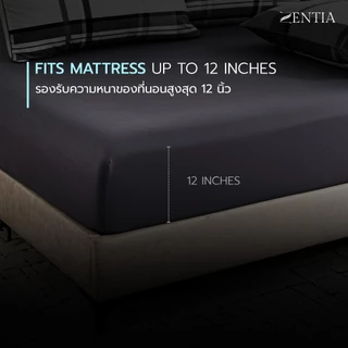 ZENTIA ชุดผ้าปู + ผ้านวม รุ่น MODERNO COTTON SUPER SOFT นุ่มสบาย สไตล์โมเดิร์น เรียบหรู [ZM]
