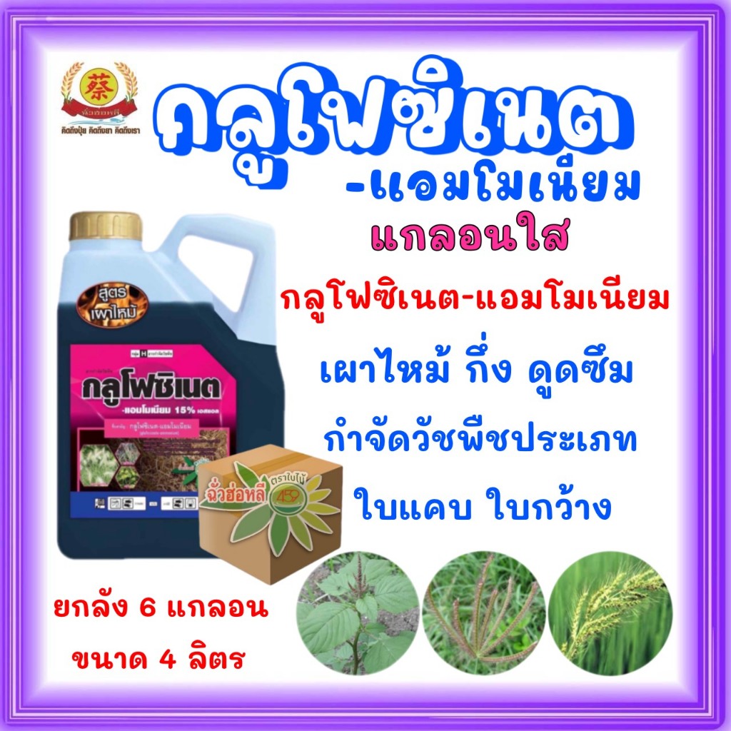 กลูโฟซิเนต สูตรเผาไหม้ ตราใบไม้*แกลอนใส*  (ยกลัง)  4ลิตร*6แกลอน
