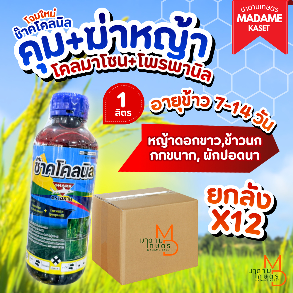 ยกลัง 12 ขวด**จำกัดออเดอร์ละ1ลัง** | ช๊าคโคลนิล (โคลมาโซน+โพรพานิล) 1 ลิตร สูตรน้ำท่วมยอดข้าวได้ ข้าวไม่ช้ำ