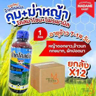 ยกลัง 12 ขวด**จำกัดออเดอร์ละ1ลัง** | ช๊าคโคลนิล (โคลมาโซน+โพรพานิล) 1 ลิตร สูตรน้ำท่วมยอดข้าวได้ ข้าวไม่ช้ำ