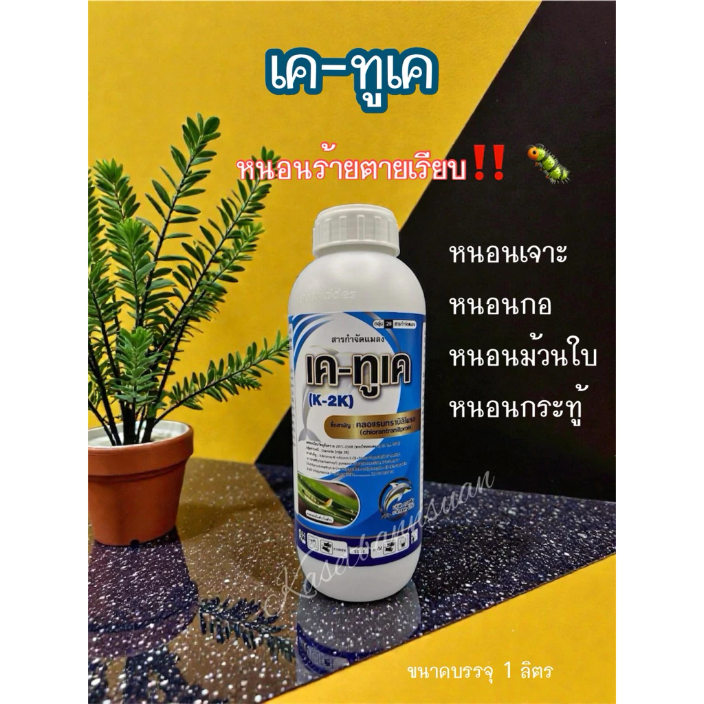 🐛‼️คลอแรนทรานิลิโพรล #เคทูเค ยาเย็น#สารเดียวกับพรีวาธอน ยากำจัดหนอน 🐛 หนอนตายยาก ฆ่าหนอน คลอแลน