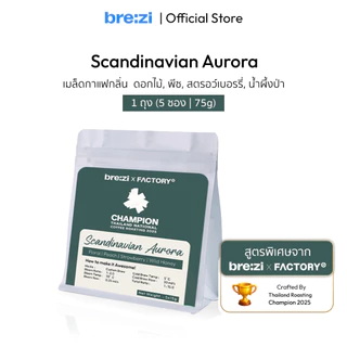 Scandinavian Aurora Ground Coffee – 1 ถุง (5 ซอง | 75g)