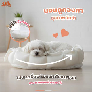 Hosttail เบาะนอนสัตว์ เบาะนอนแมว เบาะนอนสุนัข เลี้ยงรุ่น Twinkle