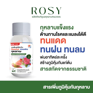 Rosy สารเพิ่มภูมิคุ้มกันสำหรับกุหลาบ ผนังเซลล์แข็งแรงทนต่อแสงแดดและความร้อน ทนฝน ลดอาการใบไหม้แดด ทนต่อแมลงเจาะดูดน้ำ