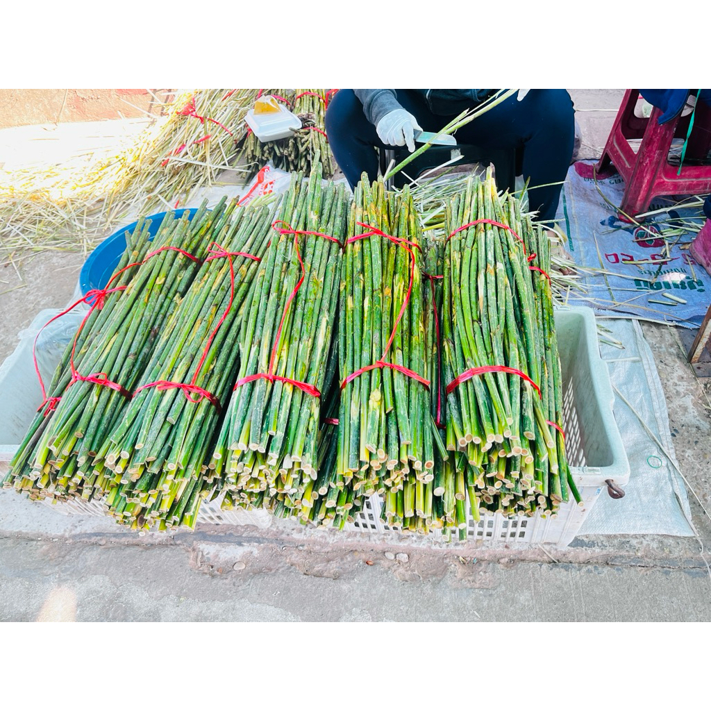 หวายสด(เป็นหวายเล็ก)