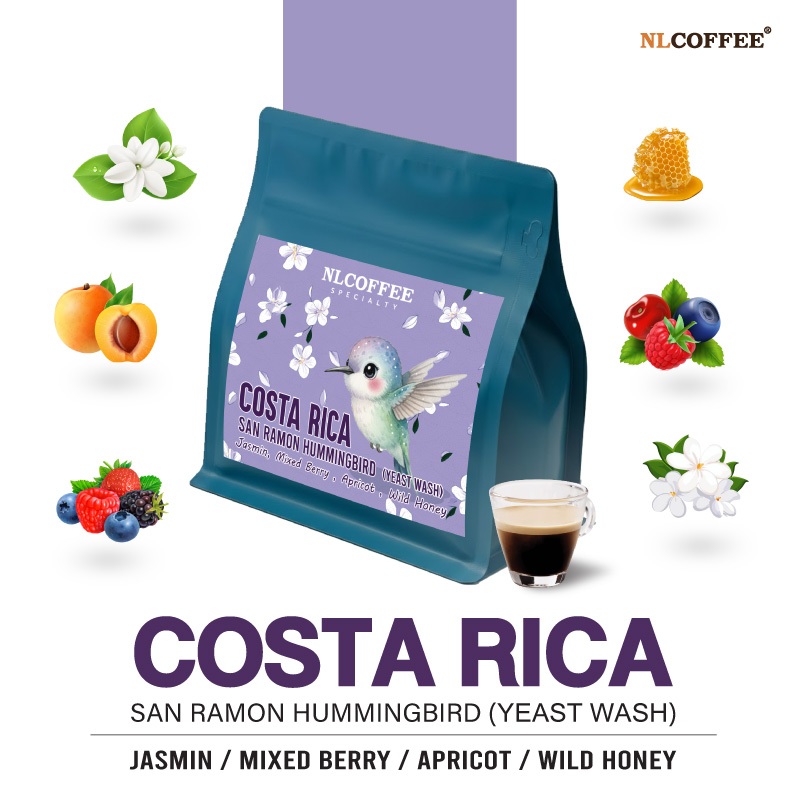 NLCOFFEE เมล็ดกาแฟ Costa Rica : San Ramon Hummingbird (200g)