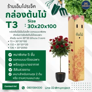 กล่องต้นไม้ T32 ( สำหรับต้นไม้ถุง 2ต้น ) ขนาด 30*20*120 ซม. แพ็ค 10 ใบ จัดส่งออกได้ทุกวัน