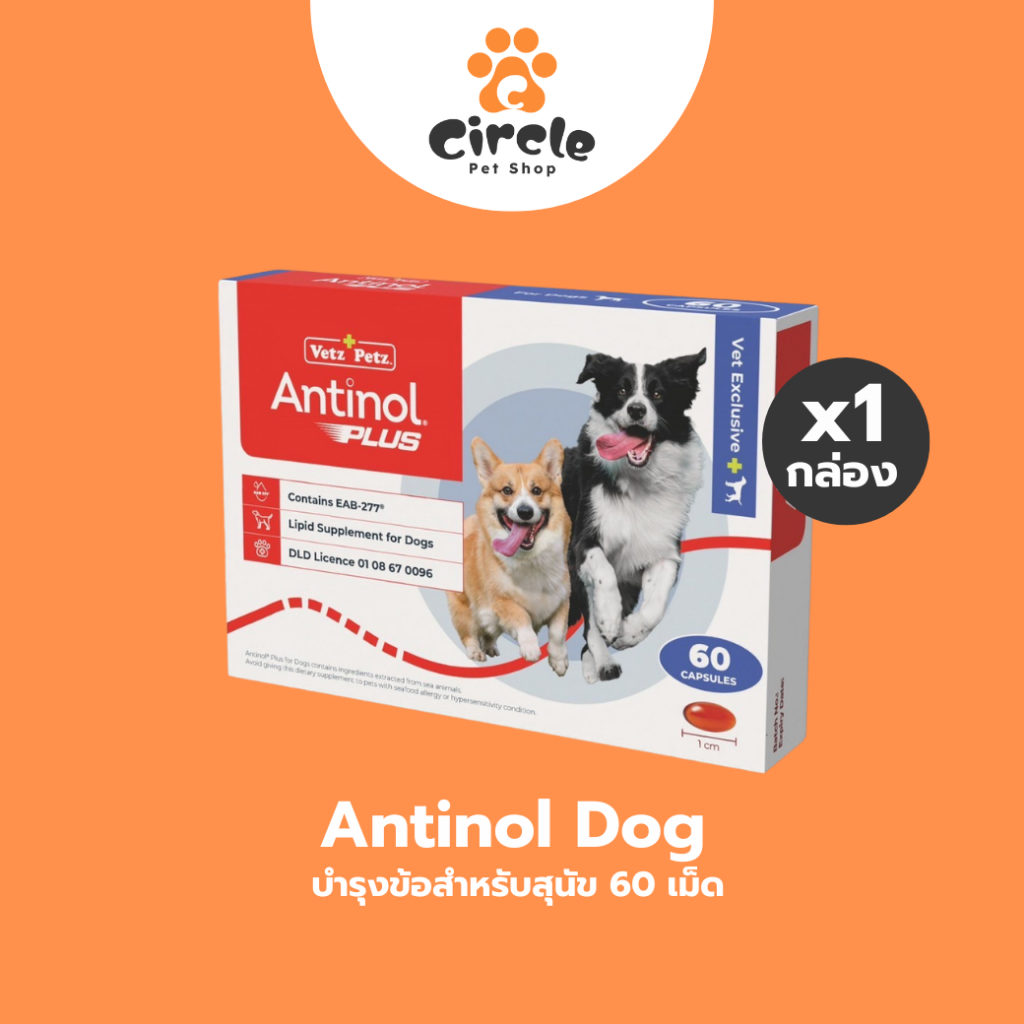 {สินค้าขายดี][ 1 กล่อง ] Antinol Dog แอนทินอล อาหารเสริมไขมัน บำรุงข้อ สำหรับสุนัข 60 เม็ด
