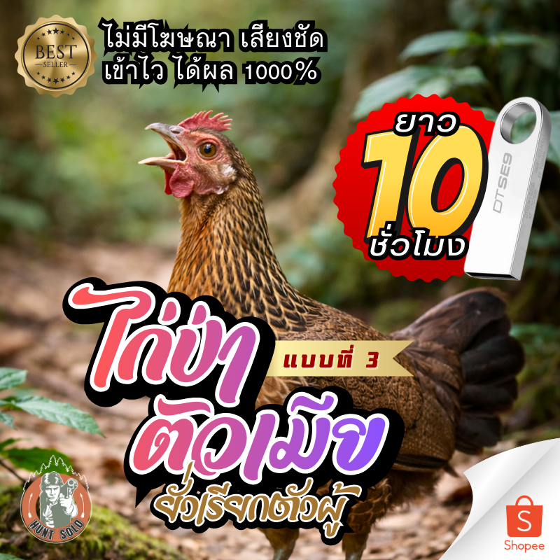 [10ชั่วโมง] เสียงไก่ป่าตัวเมีย V.3 ต่อล่อไก่ ใส่แฟลชไดร์ฟ ชัดใส ไม่มีโฆษณา พร้อมส่ง! เก็บเงินปลายทาง