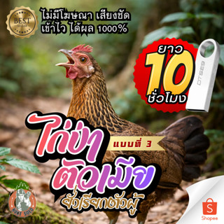 [10ชั่วโมง] เสียงไก่ป่าตัวเมีย V.3 ต่อล่อไก่ ใส่แฟลชไดร์ฟ ชั…