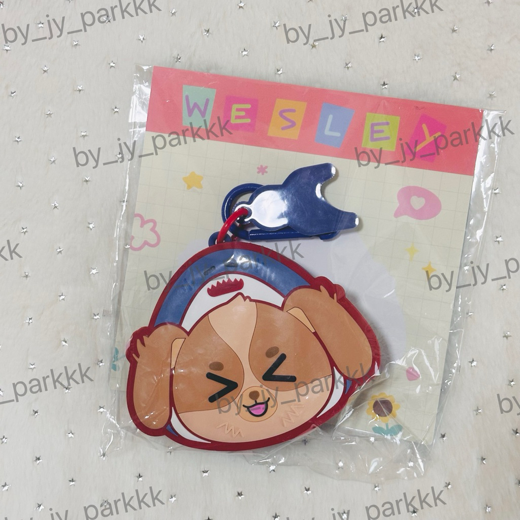 พร้อมส่ง GMMTV SILICONE MINI POUCH WESLEY เวสลีย์