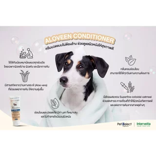 Dermcare Aloveen Oatmeal Shampoo แชมพูสูตรโอ๊ตมิลล์ ช่วยลดอาการคัน ผื่น แดง สำหรับสุนัขและแมวแพ้ง่าย ขนาด 500ml / 250ml