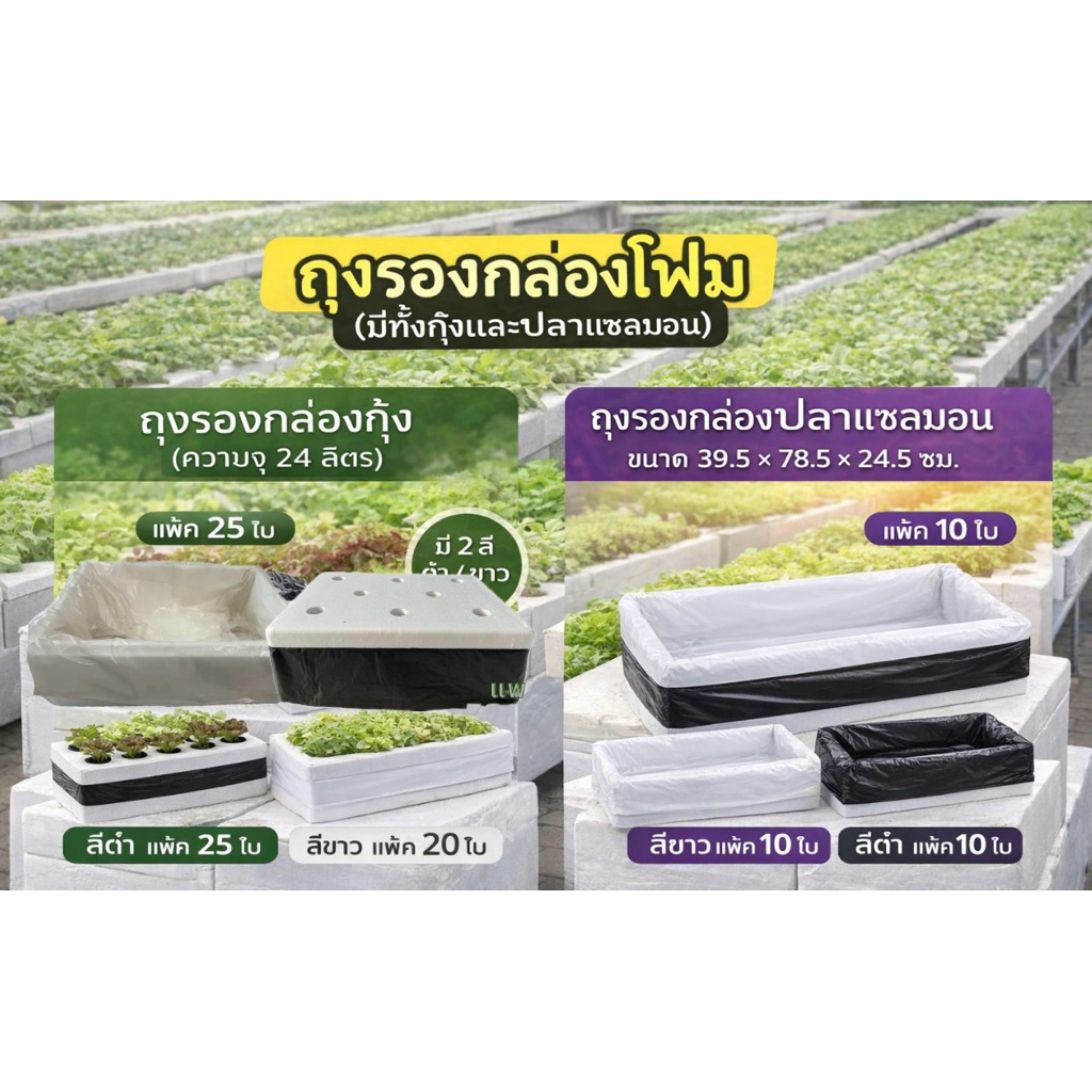 ถุงขาว,ดำรองกล่องโฟมกุ้ง ถุงรองปลูกผักไฮโดรโปนิกส์ ไม่ต้องตัด สวมใส่ได้เลยพร้อมปลูก