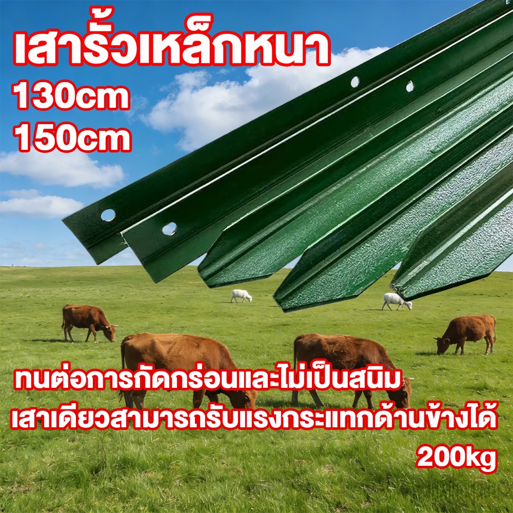 เสารั้วเหล็กหนา เสารั้วเหล็ก Y Post เหล็กหนาและทนทาน ความสูง 1.3m 1.5m