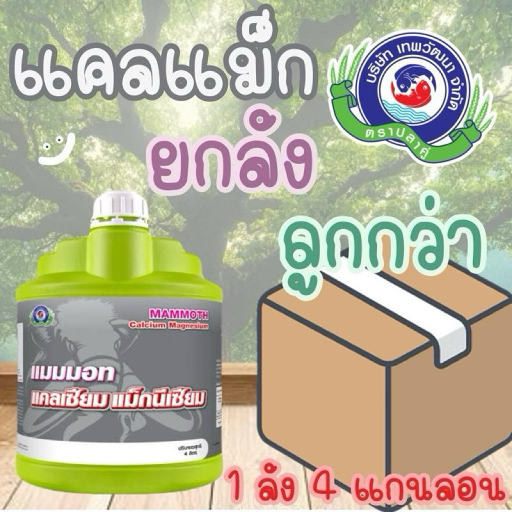 แมมมอท แคลเซียม แม็กนีเซียม 4ลิตรx4แกลลอน (ยกลัง) เทพวัฒนา ตราปลาคู่ ธาตุอาหารรองที่จำเป็นสำหรับพืชทำให้พืชแข็งแรง
