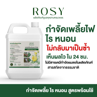 ROSY น้ำยากำจัดเพลี้ยไฟ (แกลลอน 1000ML.ฉลากเขียว) กำจัดไรแดง…