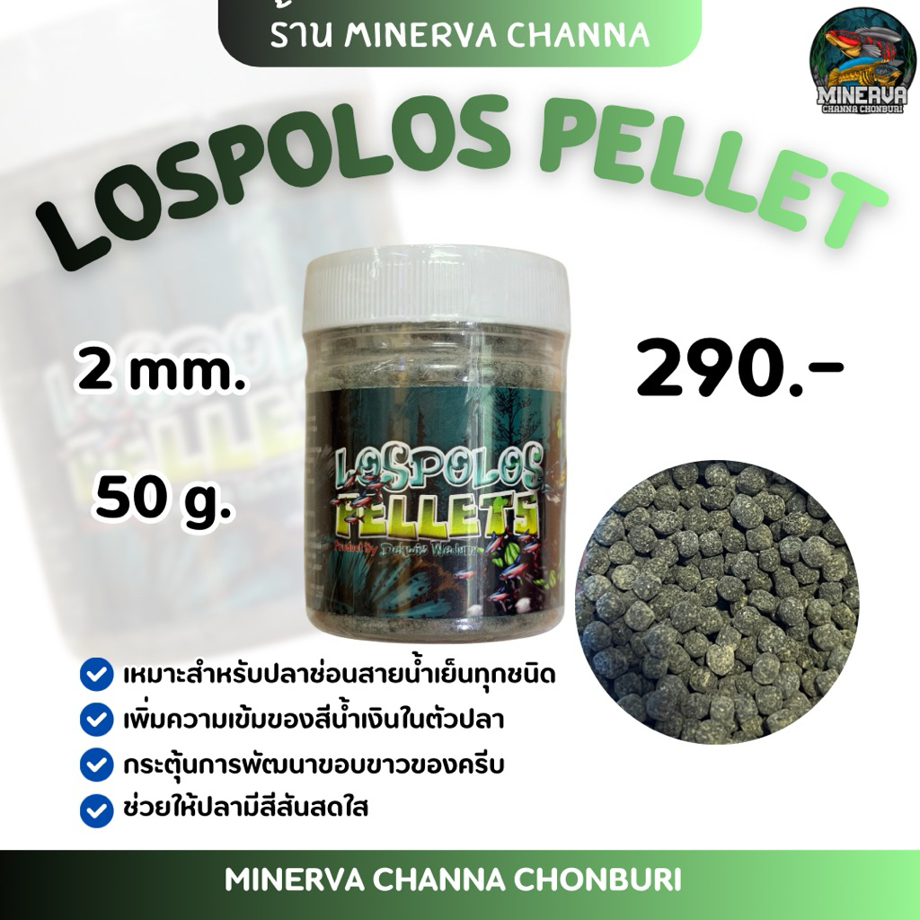 อาหารปลา LOSPOLOS สำหรับปลาช่อนน้ำเย็น นำเข้าจากอินโด