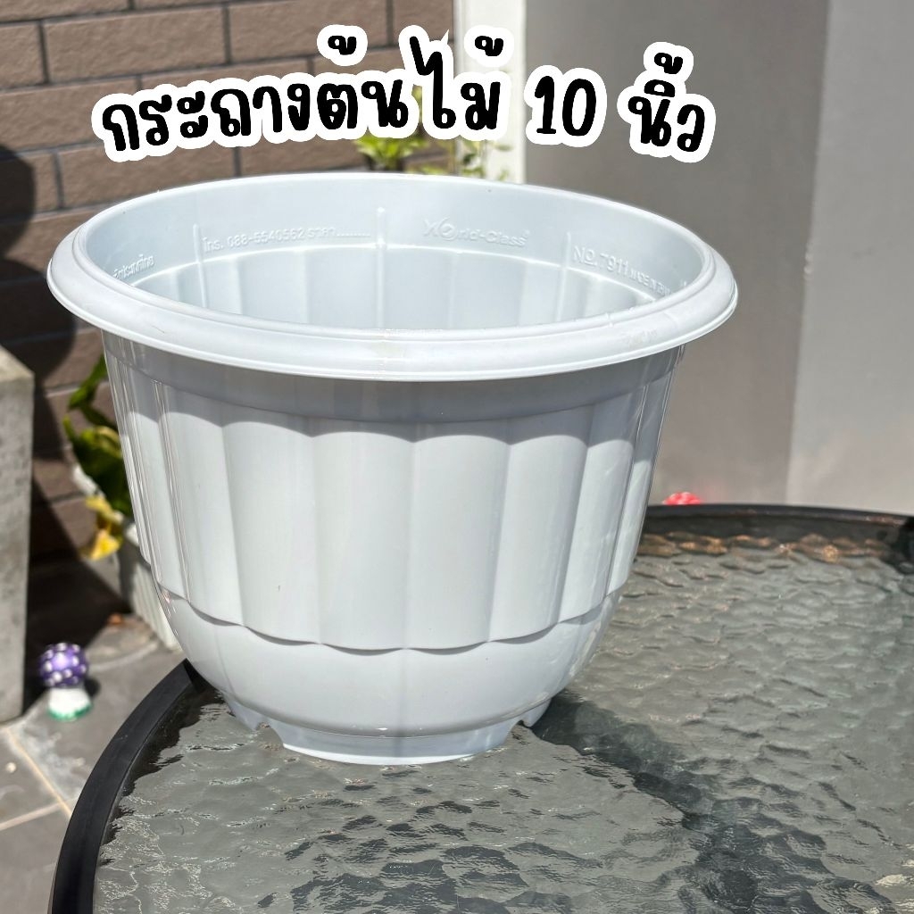🌻🪴กระถางต้นไม้ ขนาด 10 นิ้ว พลาสติกหนา แข็งแรง