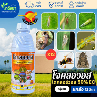 โจคลอวอส ยกลัง (12ลิตร) ไดคลอวอส 50% ตราจิงโจ้ทอง