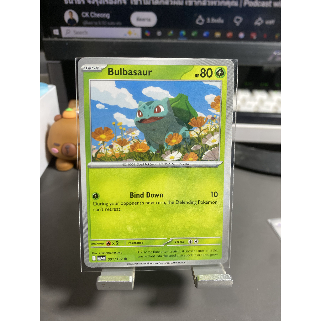 Bulbasaur - Mega Evolution