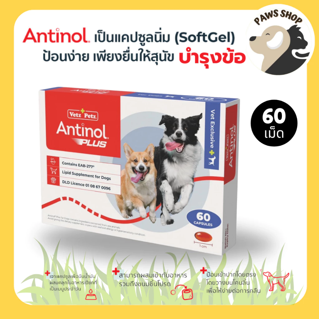 Antinol DOG 60 แคปซูล แพ็คเกจใหม่ อาหารเสริมบำรุงข้อ ข้ออักเสบ แบ่งขาย บรรจุ 60 เม็ด (ยกกล่อง)