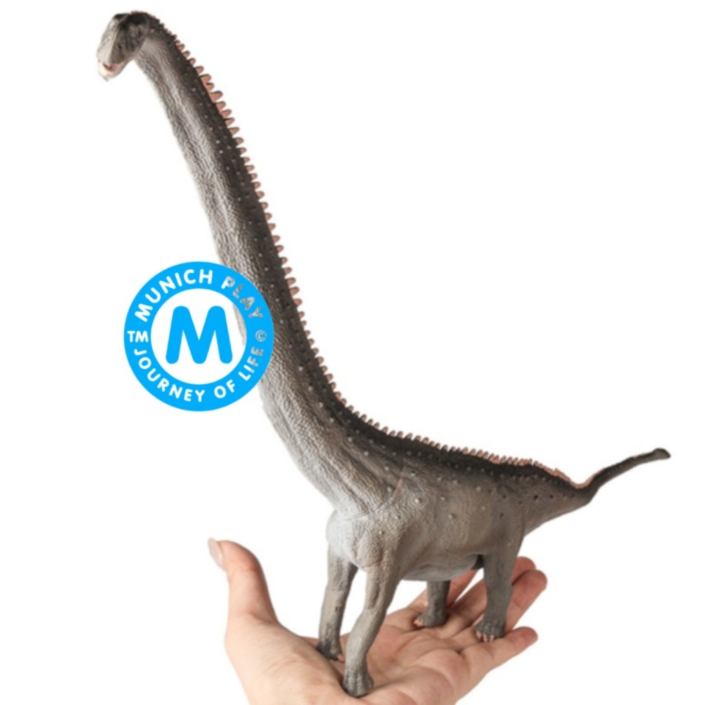 Munich Play โมเดล ไดโนเสาร์ Mamenchisaurus เทา ขนาด 39.00 CM (จากหาดใหญ่)