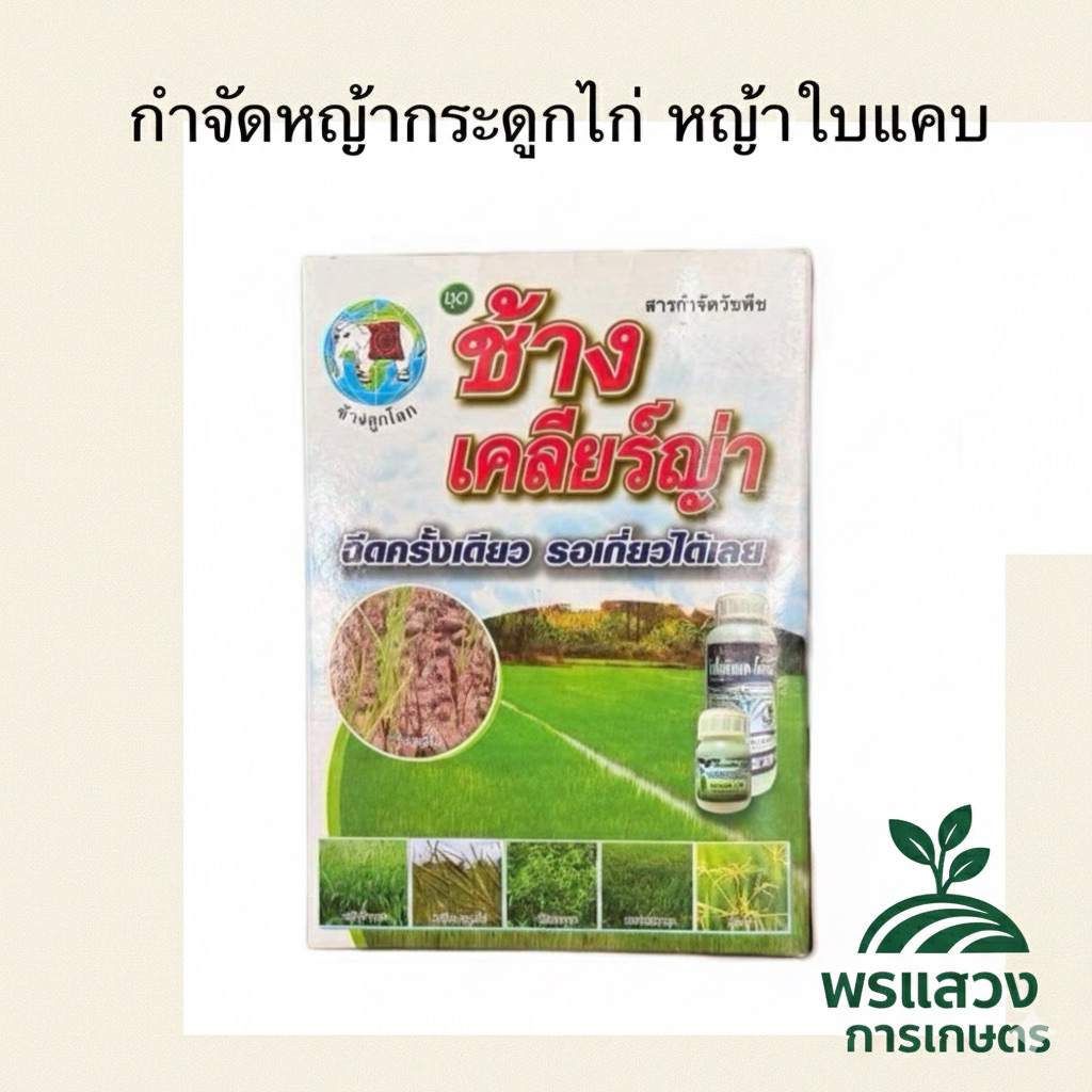 ช้างเคลียร์ญ่ากำจัดหญ้ากระดูกไก่ฉีดครั้งเดียวรอเกี่ยวได้เลยปริมาตรสุทธิ500ซีซี