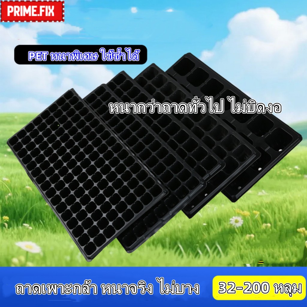🔥กรุงเทพ✅ถาดเพาะเมล็ด PET หนา ถาดเพาะกล้า สำหรับปลูกผัก ต้นอ่อน ไฮโดร ใช้ซ้ำได้