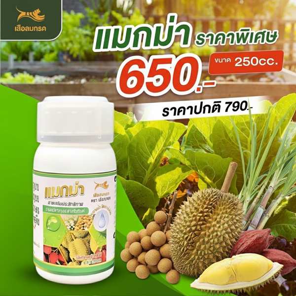 สารจับใบ แมกม่า (MAXMA)  ช่วยลดต้นทุน ปุ๋ยเคมี เพิ่มการดูดซึม ใช้ได้กับพืชทุกชนิด