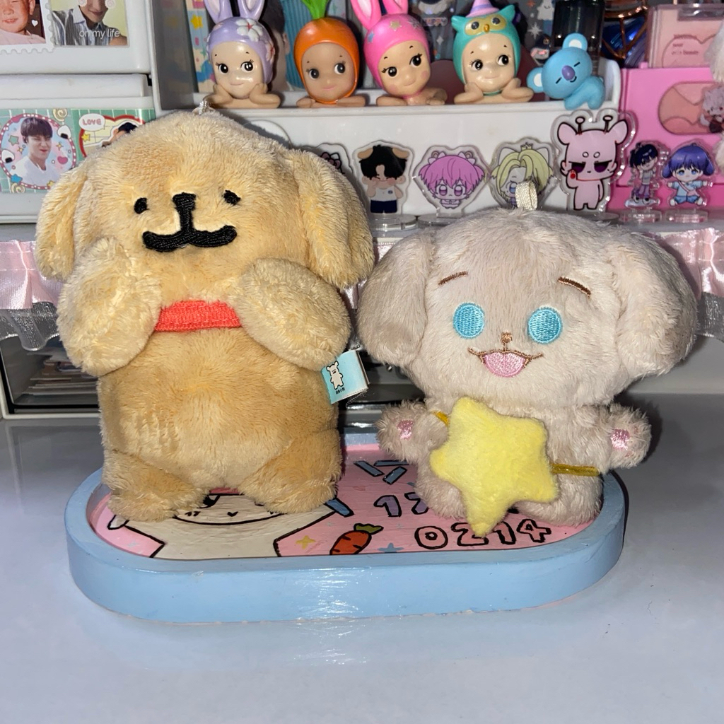 ตุ๊กตาเจค enhypen dendenni + ตุ๊กตาMaltese