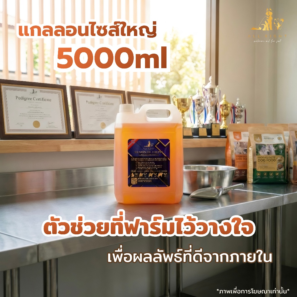 ทักร้านค้าก่อนสั่ง ✅ขายส่ง น้ำมันปลาแซลมอนแท้ สำหรับสัตว์เลี้ยง บำรุงขน สุนัข หมา แมว Salmon Oil for Pet 100% 🐶🐱