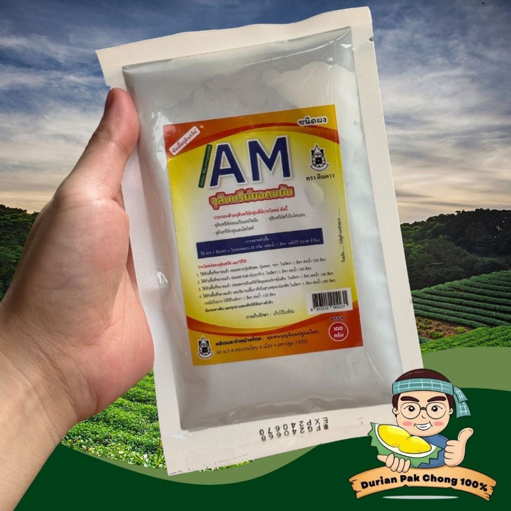 สวนทุเรียน นายชัดเจน - B16 เอนโดไฟต์ AM จุลินทรีย์ยอดขยัน(B16เดิม) 100 กรัม