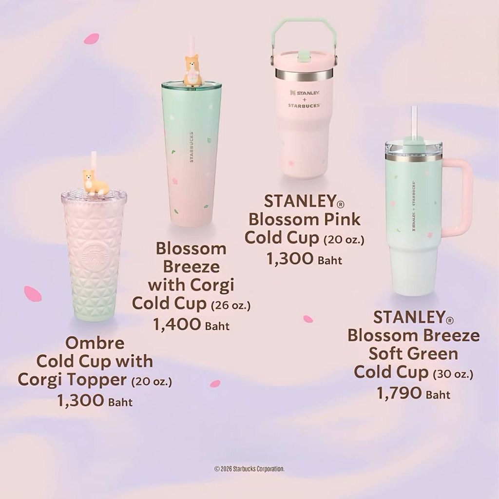 ⭐️Starbucks Sakuara Collection 2026⭐️Starbucks Nap under the Willow Collection