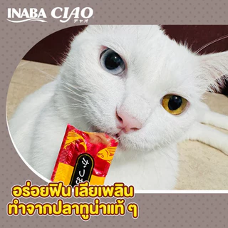 [แมวเลีย50 ซอง] CIAO Chi-ru เชา ขนมแมวเลีย เชาว์ แมวกวัก ชูหรุ ครีมแมวเลีย ทุกช่วงวัย ไม่เติมเกลือ
