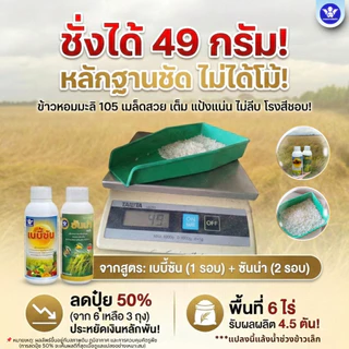 ซันน่า อะมิโน หัวเชื้อเข้มข้น-สูตรลดปุ๋ย | เพิ่มการแตกกอ บำรุงข้าวตั้งท้อง รวงใหญ่ ได้น้ำหนัก