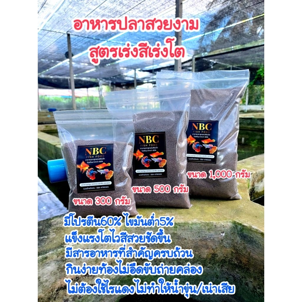 อาหารปลาโปรตีนสูง60% เร่งสี เร่งโต ไม่ต้องใช้ไรแดง