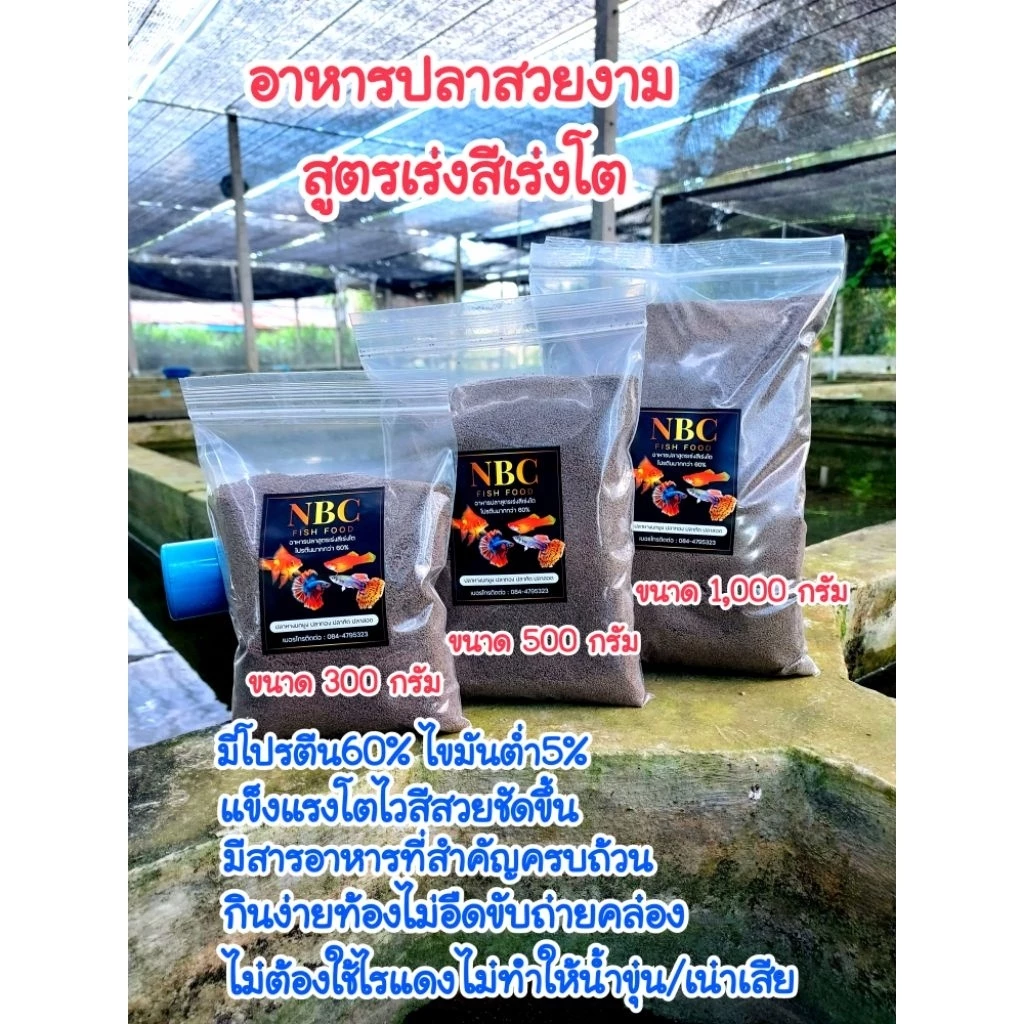 อาหารปลาโปรตีนสูง60% เร่งสี เร่งโต ไม่ต้องใช้ไรแดง