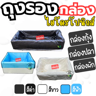 ถุงรองกล่องปลูกผักไฮโดรโปนิกส์ สวมง่าย พอดีกล่องโฟม (กล่องกุ้ง/ปลา/ผัก) เหนียว ทนทาน ใช้ซ้ำได้