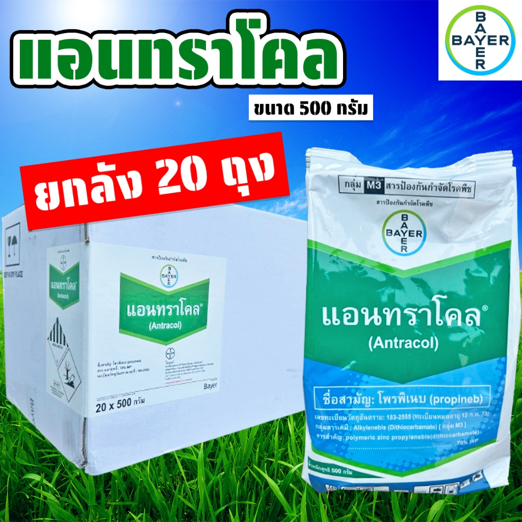 (ยกลัง20ถุง) แอนทราโคล (โพรพิเนบ) ขนาด 500 กรัม ยากันเชื้อรา สารป้องกันกำจัดโรคพืช