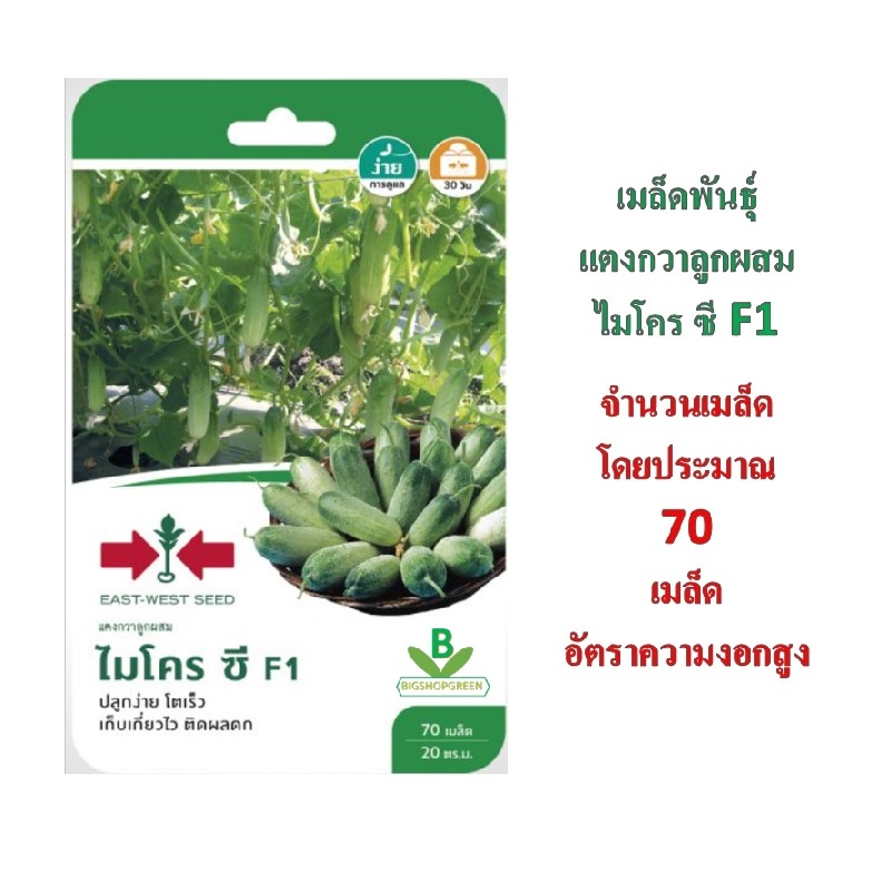 5 แถม 1 เมล็ดพันธุ์ แตงกวาลูกผสม ไมโครซี F1  ศรแดง
