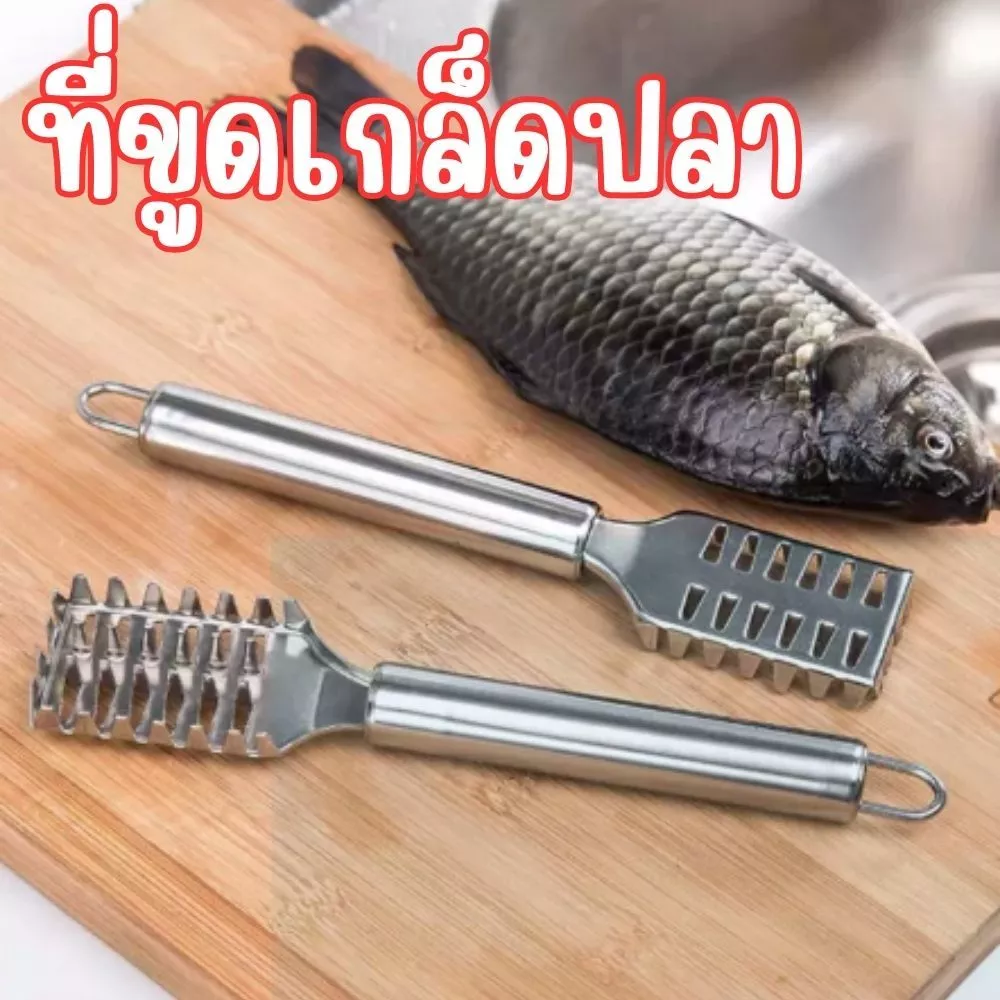 ที่ขูดเกล็ดปลา สแตนเลส ไม่เกิดสนิม ที่ขอดเกล็ดปลา อุปกรณ์กำจัดเกร็ดปลา พร้อมช่องเก็บเกล็ดปลาในตัว มีด้ามจับถนัดมือ G0185