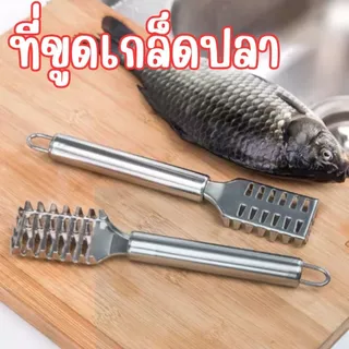 ที่ขูดเกล็ดปลา สแตนเลส ไม่เกิดสนิม ที่ขอดเกล็ดปลา อุปกรณ์กำจัดเกร็ดปลา พร้อมช่องเก็บเกล็ดปลาในตัว มีด้ามจับถนัดมือ G0185