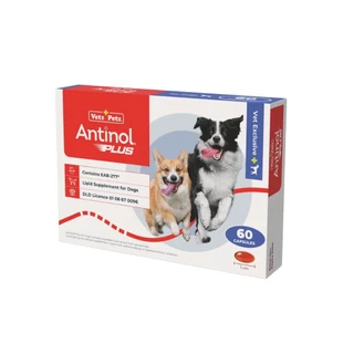 Antinol Dog 60 caps อาหารบำรุงข้อสุนัข อาหารเสริมบำรุงข้อสำหรับสุนัข บรรจุ 60 caps / 1 กล่อง