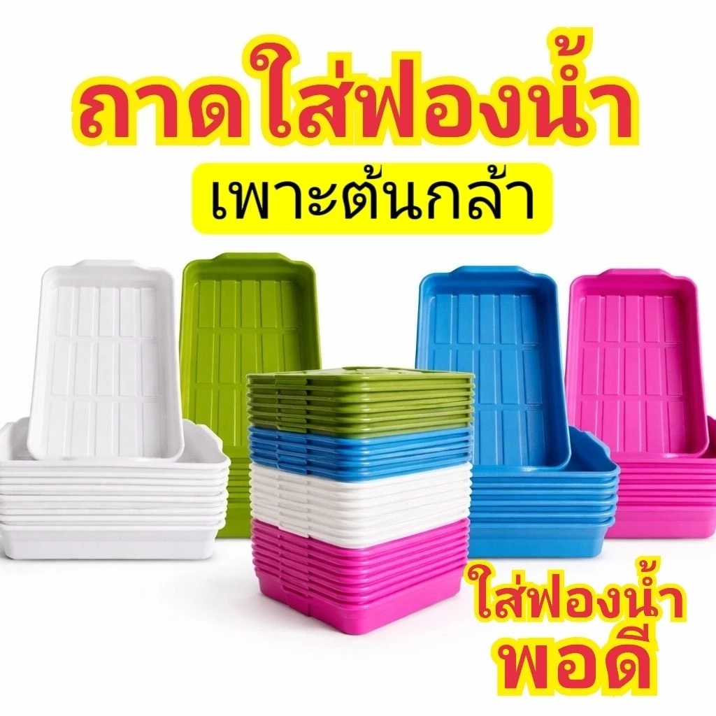 ถาดใส่ฟองน้ำเพาะเมล็ด ถาดเพาะเมล็ด เพาะกล้า ปลูกผักไฮโดรโปนิกส์ WOW